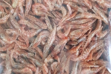 국산꽃새우