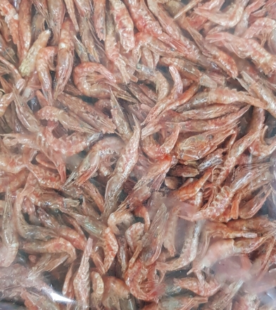 국산꽃새우