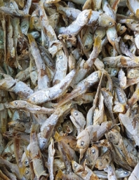고너리(업소용 국물)1.5kg 중품