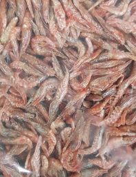 국산꽃새우