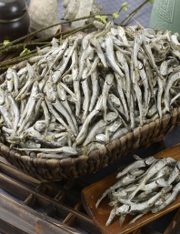여수다시멸치